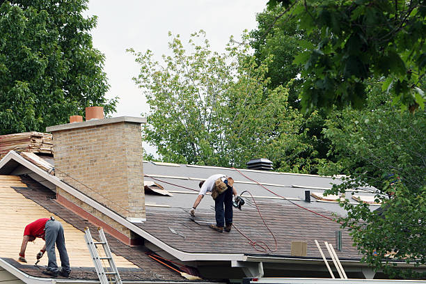 Best Roof Repair Services  in Flat Rock, MI