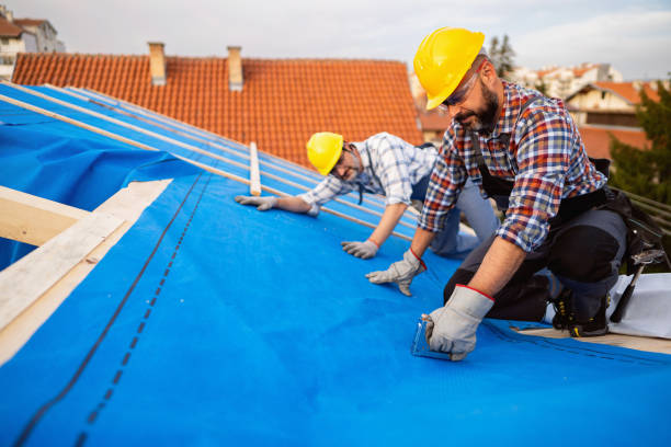 Best Roofing Contractor Near Me  in Flat Rock, MI