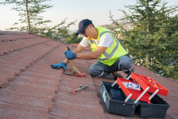 Best Affordable Roof Replacement  in Flat Rock, MI
