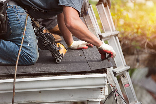 Roof Gutter Cleaning in Flat Rock, MI