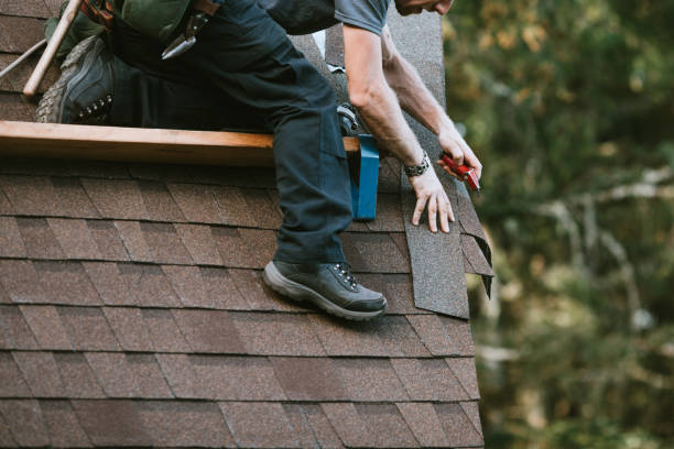 Best Shingle Roofing Installation  in Flat Rock, MI